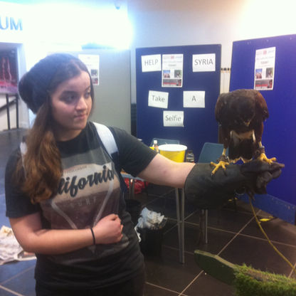 #176 Have a large bird perch on my arm ✔