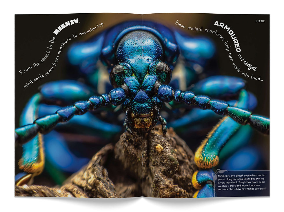 Thumbnail: MINIBEASTS MAKE THE WORLD GO ROUND