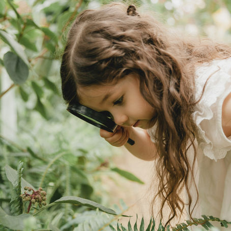 From Fear to Fascination, Teaching Children about Pollinators