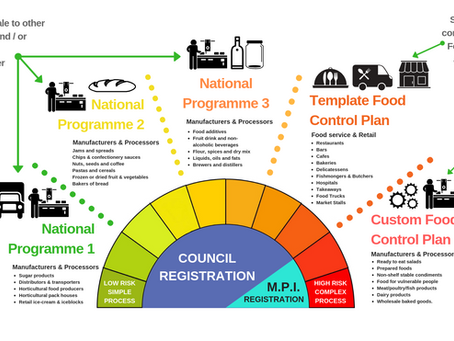 What kind of food control plan and registration does my food business need?
