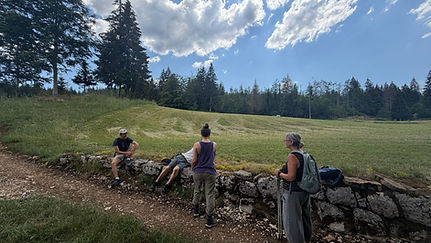 IMG_2370.jpg