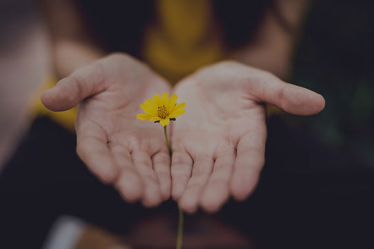 lina-trochez-ktPKyUs3Qjs-unsplash_edited-(1).jpg