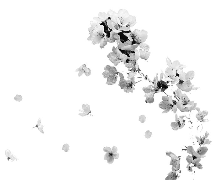 flowers_1.png