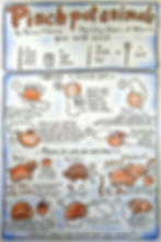 Pinchpot Animal Comic_Flanery_Donna2020.