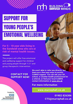 BUILDING BRAVER MINDS FLYERS_V1.pdf (1).jpg