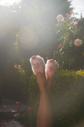 bunny-fuzzy-slippers-pink-rose-garden.jpg