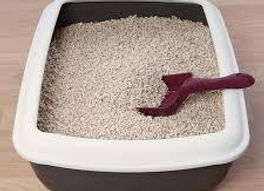 Miniatura: Piedras Sanitarias Para Gatos 8 X 4 Kgs