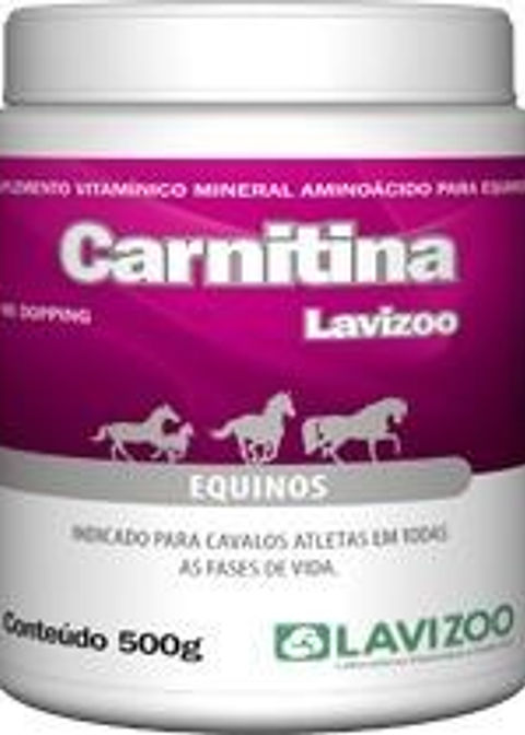 Suplemento Carnitina Lavizoo 500 Grs
