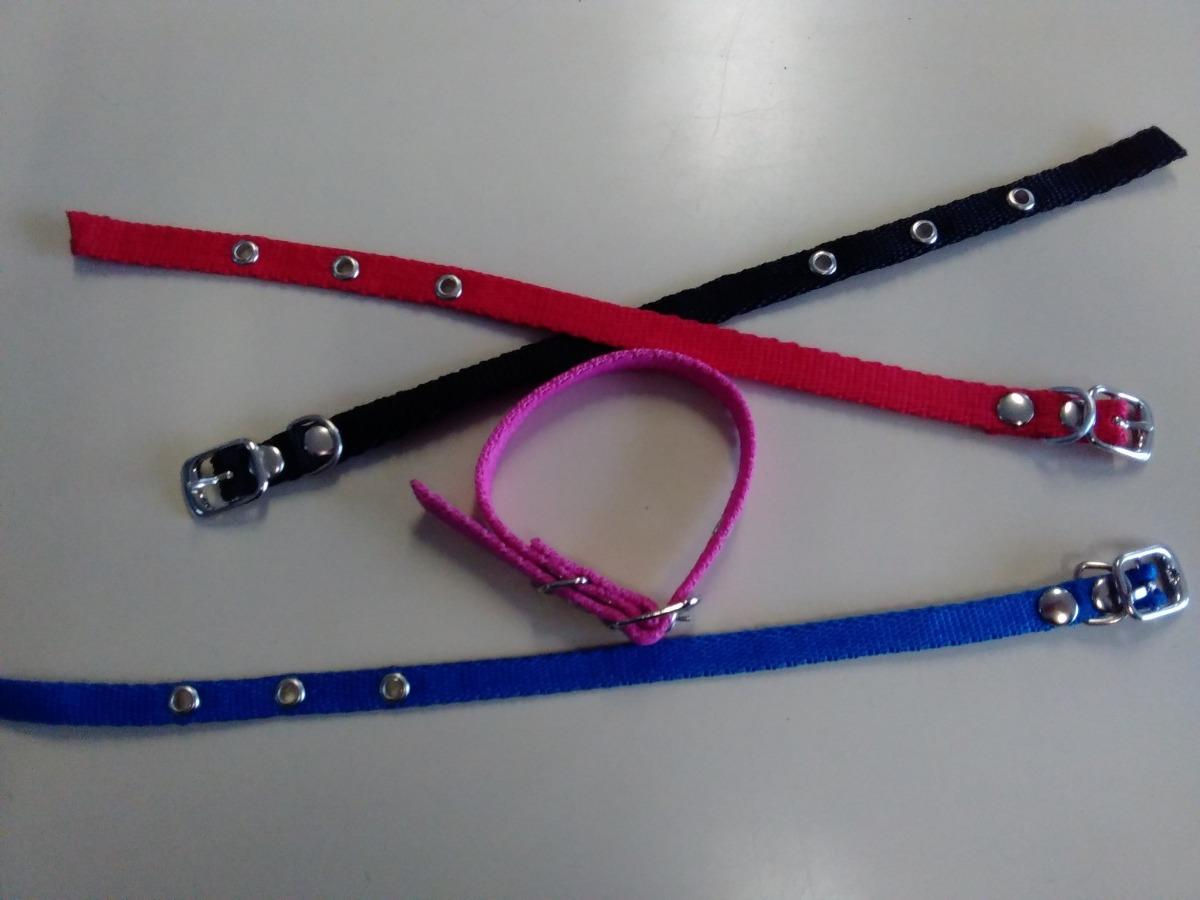 Collares Para Gato De Nylon Con Herrajes Galvanizados