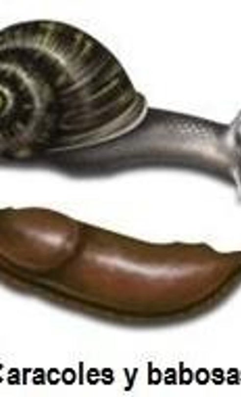 Miniatura: Caracolicida Agrol-azul Caja De 100 Grs