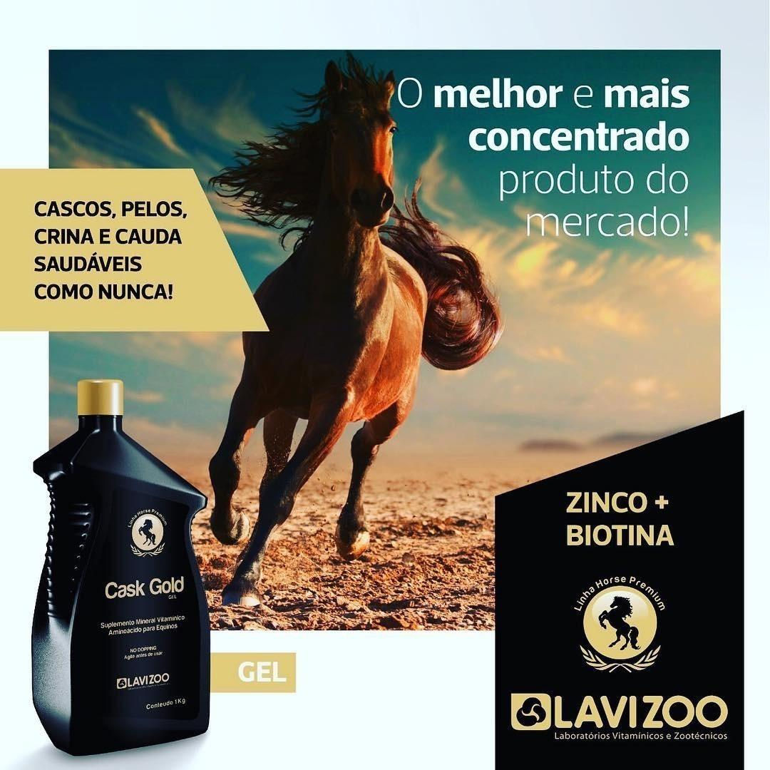 Suplemento Nutricional Cask Gold 1 Lt