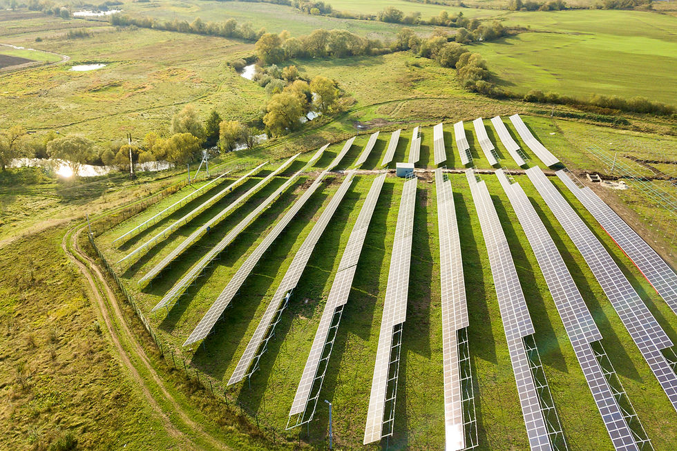 Il futuro dell’agrivoltaico: quando energia e agricoltura crescono insieme