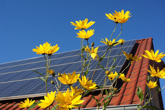 Fotovoltaico e fiori gialli: Punto Giallo Solar Power di Alto Reno Terme, un luogo fisico dove i cittadini dell'Appennino possono trovare consulenza e assistenza reale prima e dopo l'installazione