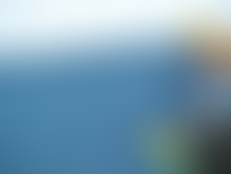  Premier roofing services