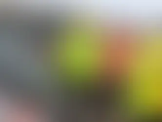 10 Tips for Roof Tarping Seattle, WA Services You Can Trust