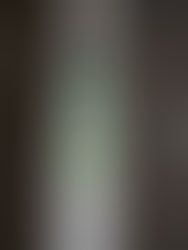 8th Grade Cyanotypes