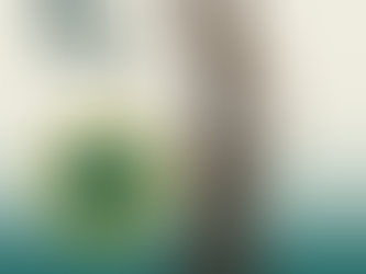 Direito em Pauta: STJ estabelece limites para a coparticipação em planos de saúde