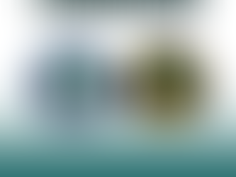 Carta Aberta da ANERMB à Sociedade Brasileira