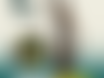 Licença Especial: Requeira Seus Direitos, Ativos ou Inativos!