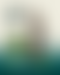 CNJ aprova criação da Certidão Nacional Criminal