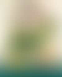 A AME-SC DESEJA A TODOS UM EXCELENTE CARNAVAL!!