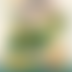 A AME-SC DESEJA  A TODOS UM EXCELENTE CARNAVAL!!