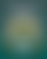 Réveillon AME-SC 2026 - AS VENDAS EXCLUSIVAS PARA SÓCIOS ESTÃO ABERTAS