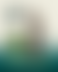 Direito em Pauta: Prints e conversas no WhatsApp agora têm respaldo jurídico com o novo serviço do notariado