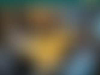 AME-SC NA BUSCA DA VALORIZAÇÃO PROFISSIONAL