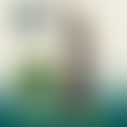 Direito em Pauta: STJ decide que intimação por WhatsApp não autoriza prisão civil por dívida de alimentos