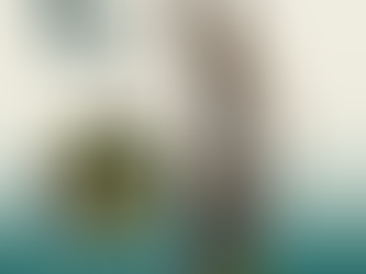 Direito em Pauta: O que é considerado legítima defesa em um confronto armado?