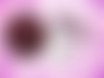 Dia Internacional da Mulher