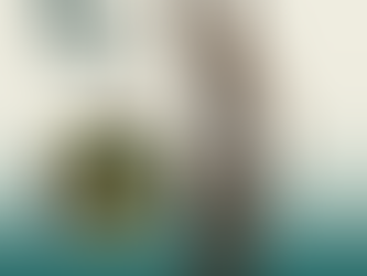 Direito Em Pauta: Uso progressivo da força policial