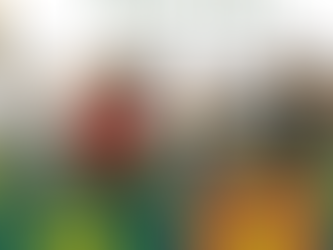 Torcida Amiga – Construindo a Cidadania: uma parceria AME-SC e UDESC!