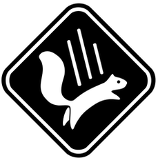 Falling Squirrel Logo