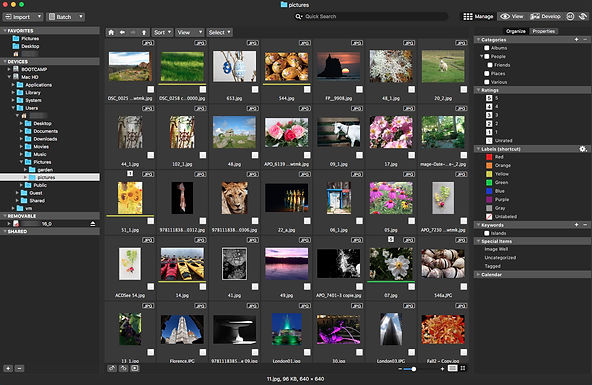 Photo Studio for Mac