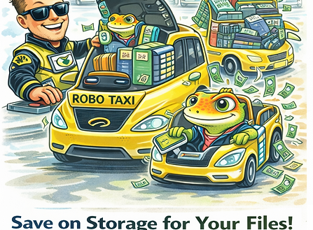 9-RoboTaxi.png