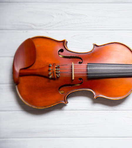 violin