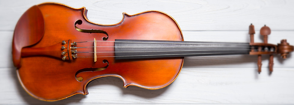 Elegant Wooden Violin