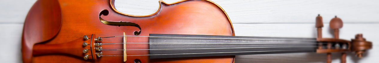 violin