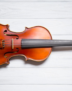 violin