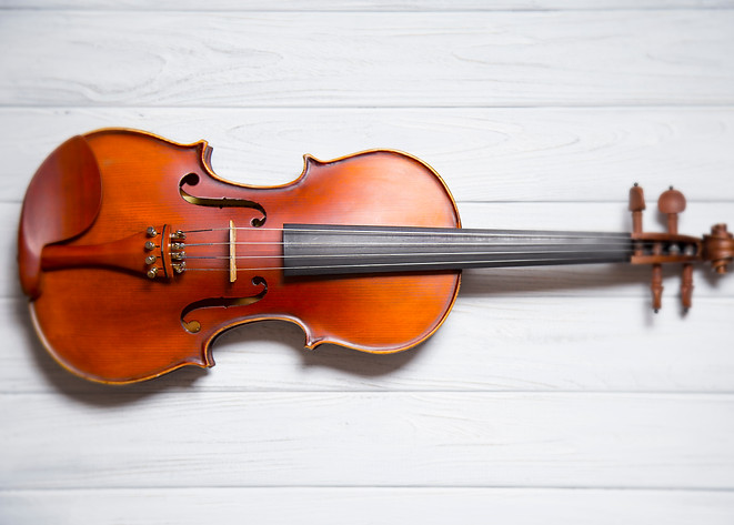 violin