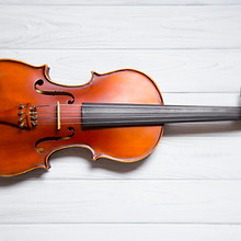 violin