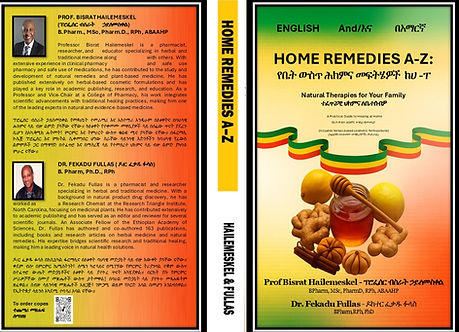 Book Cover English_Amharic FINAL JUNE 25.jpg