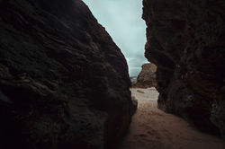 IMG_2544m