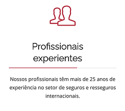 Redbridge Plano de Saúde Internacional seguro saúde