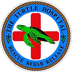 TurtleHospital.jpg