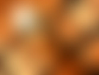 旅...再開しますわ(´・ω・｀)7/24スタート