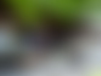 別格八番札所　十夜ヶ橋