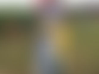 ねぶた前半戦　8/2～4　14～16日目